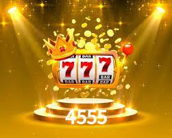 Premium Interface 4555